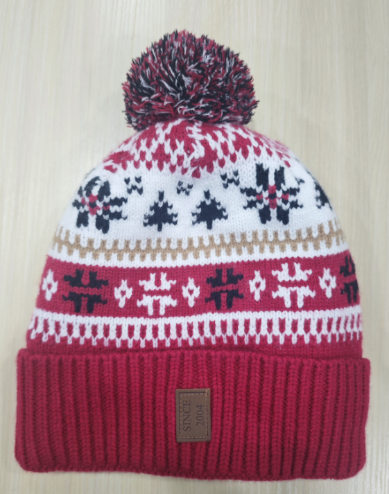 2026 New Heated Hat for Women