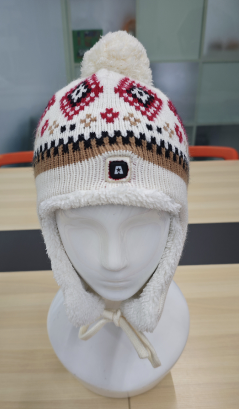 2026 New Heated Hat for Women