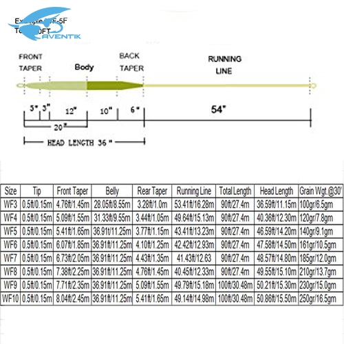Aventik Tri-Tone Weight Forward Fly Fishing Floating Line