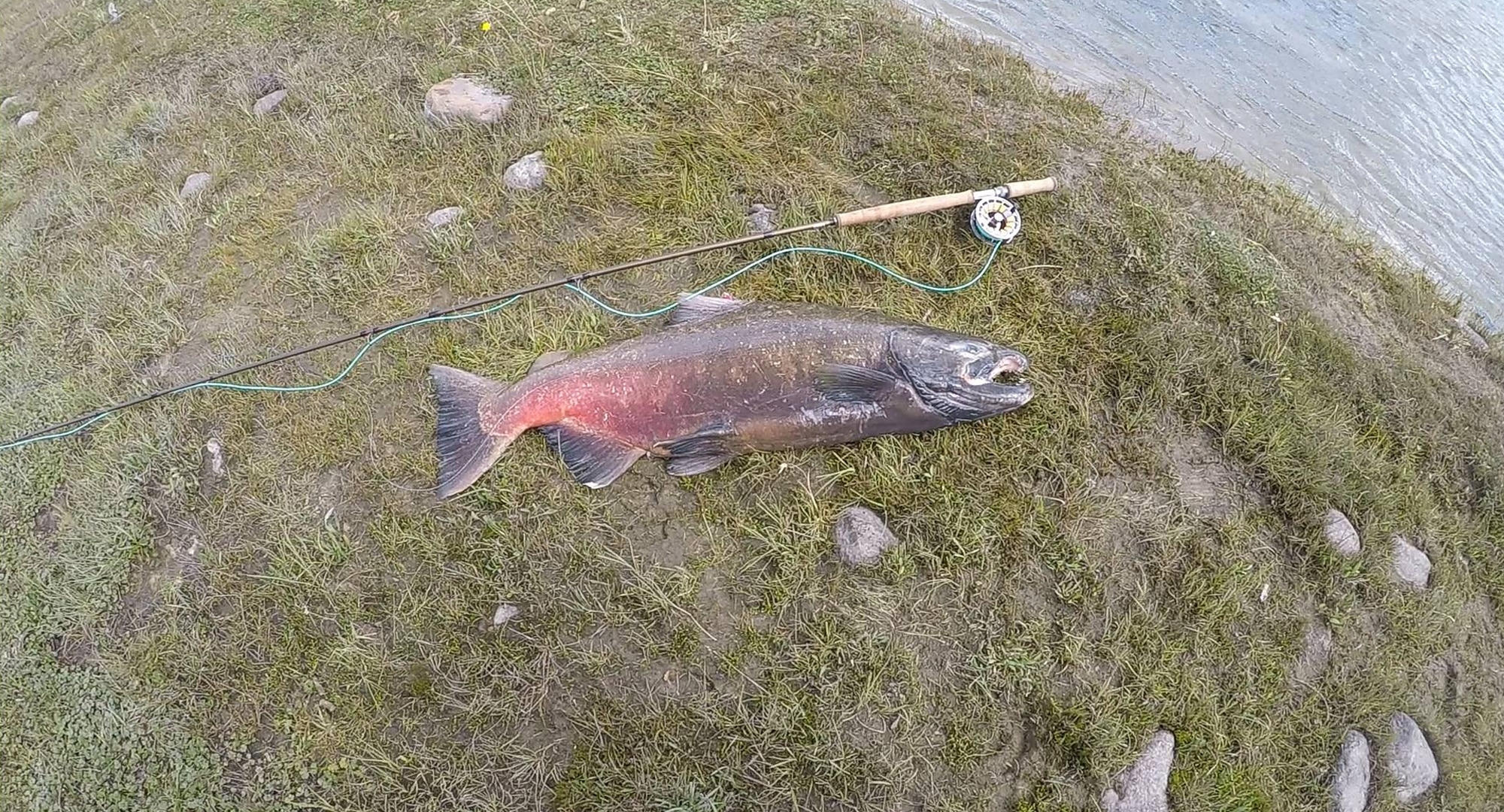 沢田賢一郎　CAPRUS Power Spey 8ft 6 #5〜6 Sawada Kenichiro CAPRUS Power Spey 8ft 6in #5-6 Fly Rod Used