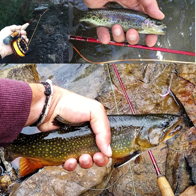 Aventik Stalker Fly Fishing Rod 4 Sections, 2/3 / 4WT, Fast Action IM12 Graphite Carbon Fiber Rod Blank 7/8FT Ultra Light Fly Rod with Extra Tip
