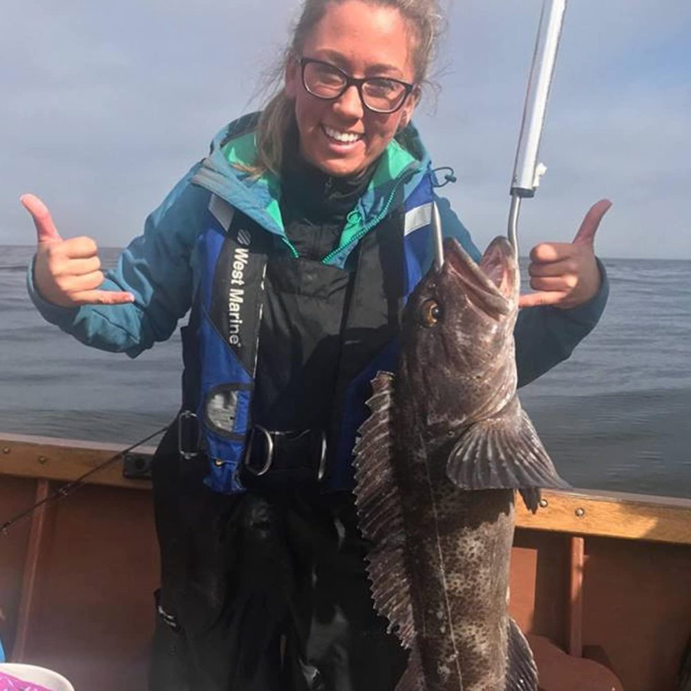 Eupheng C EP-9292 100PCS Assortment #12-#1/0 Prime Baitholder Barbed Shank Fishing Hooks High Carbon Great Value Collection