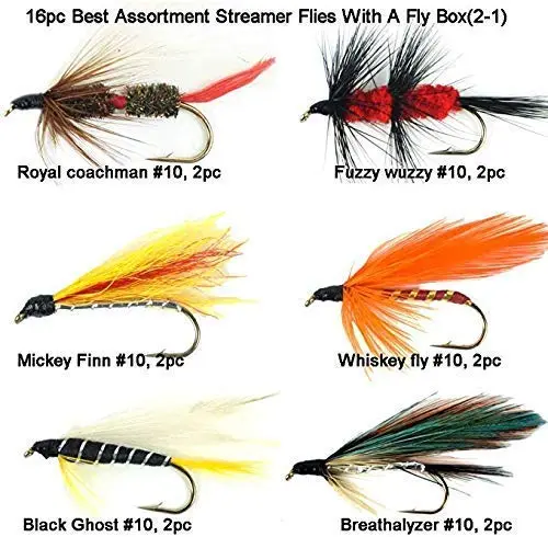 Riverrruns Best Assortment Combo Flies with A Fly Box,Bead Head Flies,Carp Flies,Dry Flies,Nymphs,Streamers,Salt Water Flies,Bread Like,Foam Flies.