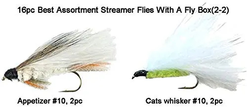 Riverrruns Best Assortment Combo Flies with A Fly Box,Bead Head Flies,Carp Flies,Dry Flies,Nymphs,Streamers,Salt Water Flies,Bread Like,Foam Flies.