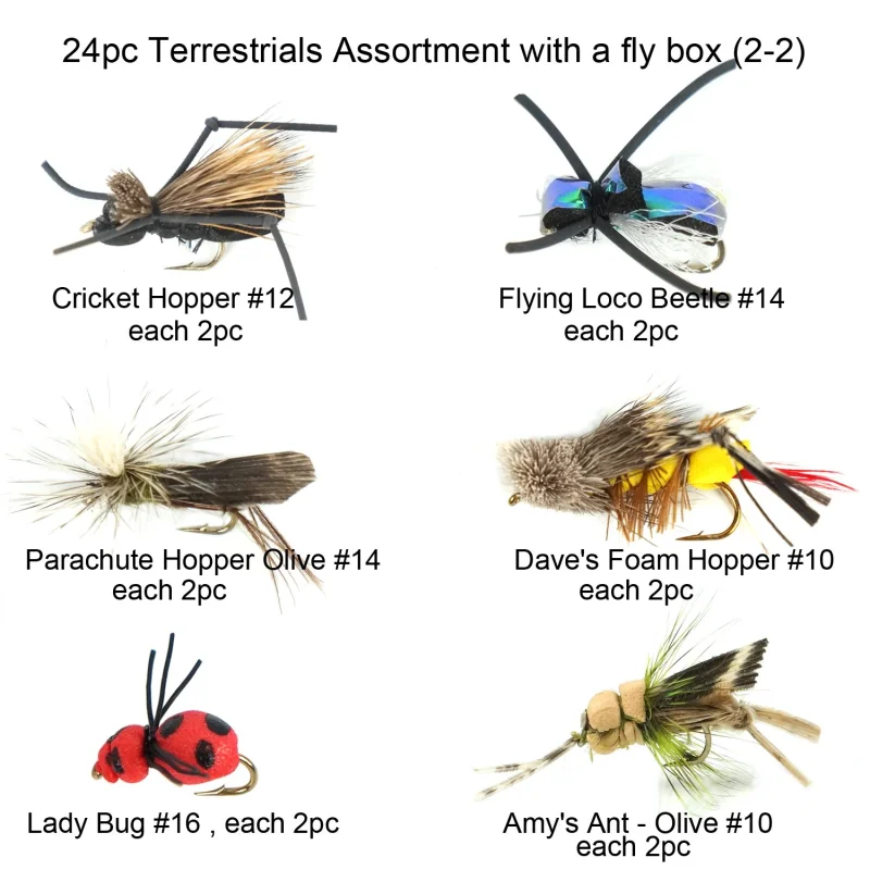 Riverruns Best Assortment Flies Combo with A Fly Box Adult Damsel Fly Fishing Wet Trout Fishing Flies