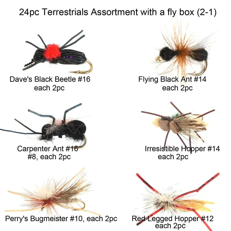 Riverruns Best Assortment Flies Combo with A Fly Box Adult Damsel Fly Fishing Wet Trout Fishing Flies