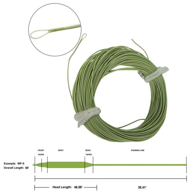 Aventik Trout Fly Fishing Line Weight Forward Floating Fly Line with Exposed Loop Easy Line ID