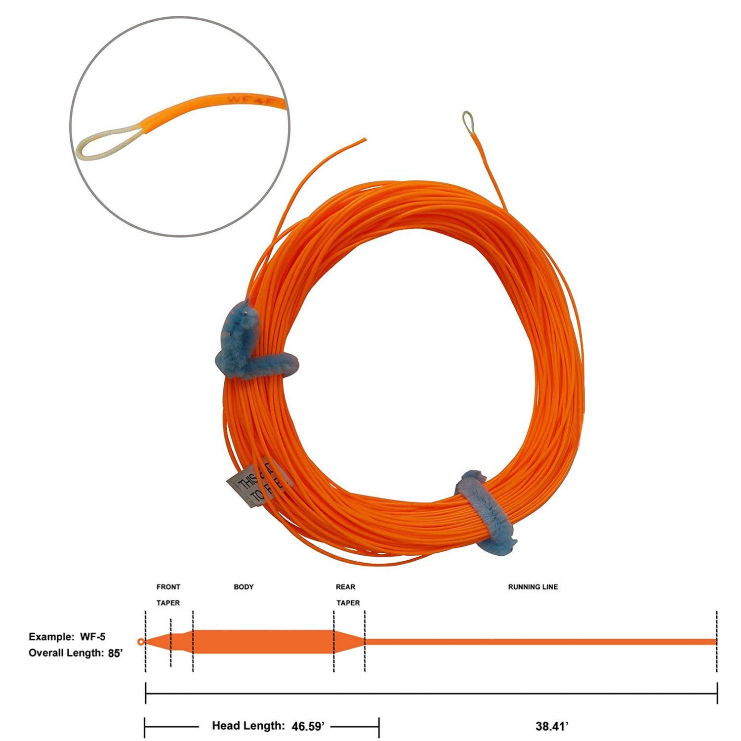 Aventik Trout Fly Fishing Line Weight Forward Floating Fly Line with Exposed Loop Easy Line ID