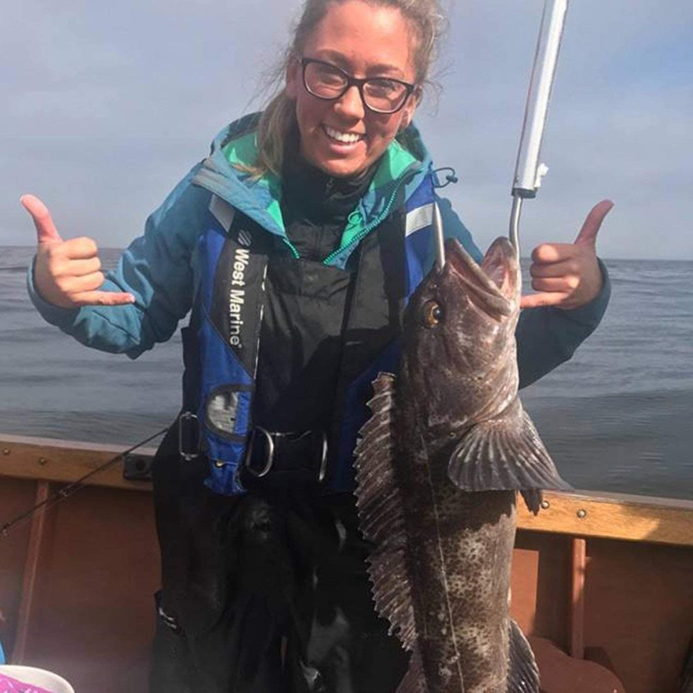 Eupheng EP-PSL41 100PCS Or 150PCS Assortment 6#-3/0# Live Bait Fishing Hooks Offset Light Wire Straight Eye High Carbon Steel Bronze Wide Gap Reversed PointGreat Value Collection