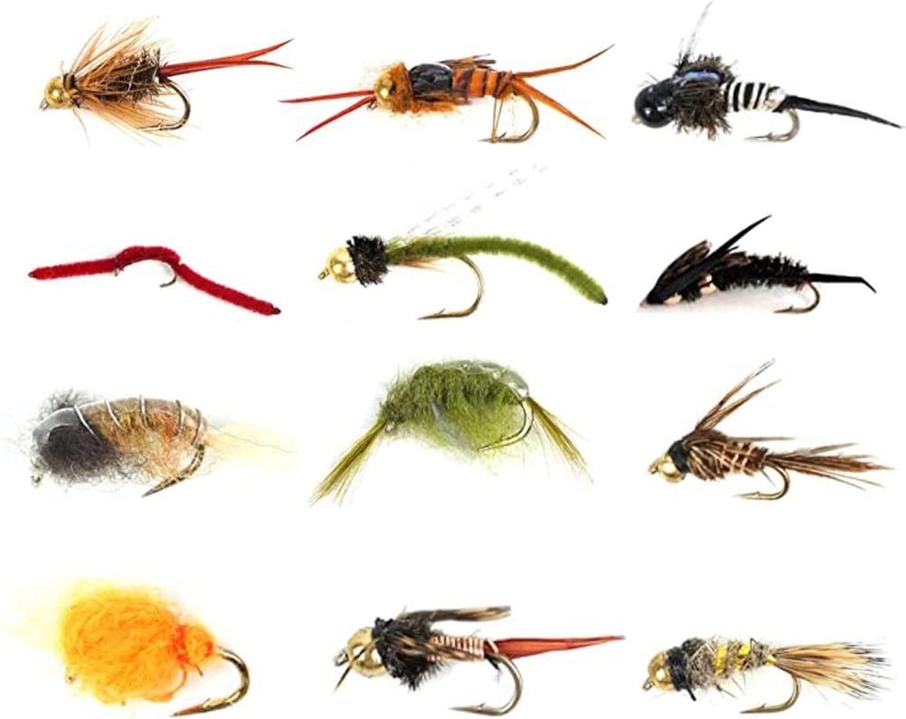 Best Assortment Flies Combo Carp Flies Wet Trout Fishing Flies Dry Flies,Nymphs,Streamers,Salt Water Flies with Silicone Fly Box Packing