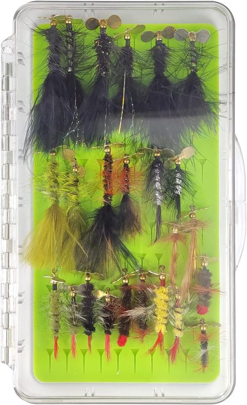 Best Assortment Flies Combo Carp Flies Wet Trout Fishing Flies Dry Flies,Nymphs,Streamers,Salt Water Flies with Silicone Fly Box Packing