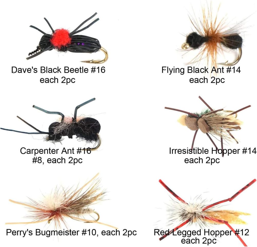 Best Assortment Flies Combo Carp Flies Wet Trout Fishing Flies Dry Flies,Nymphs,Streamers,Salt Water Flies with Silicone Fly Box Packing