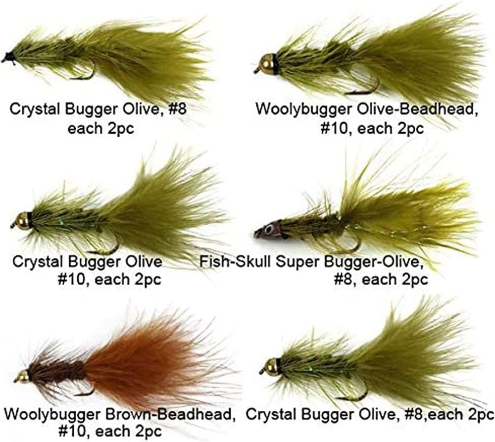 Best Assortment Flies Combo Carp Flies Wet Trout Fishing Flies Dry Flies,Nymphs,Streamers,Salt Water Flies with Silicone Fly Box Packing