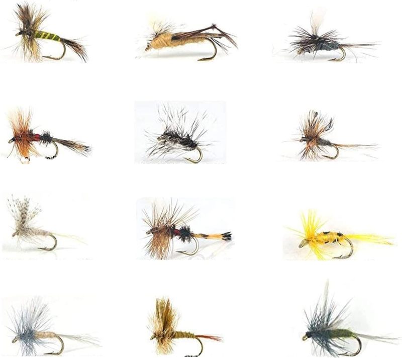 Best Assortment Flies Combo Carp Flies Wet Trout Fishing Flies Dry Flies,Nymphs,Streamers,Salt Water Flies with Silicone Fly Box Packing