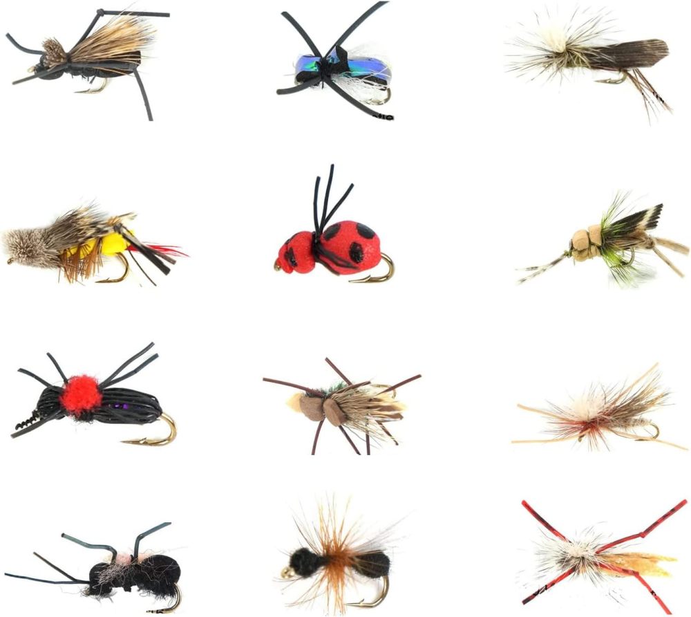Best Assortment Flies Combo Carp Flies Wet Trout Fishing Flies Dry Flies,Nymphs,Streamers,Salt Water Flies with Silicone Fly Box Packing