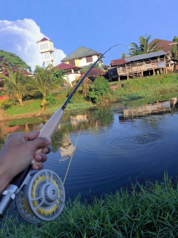 Im7 Carbon Material Cork Handle Fly Fishing Nymph Rod for Sale