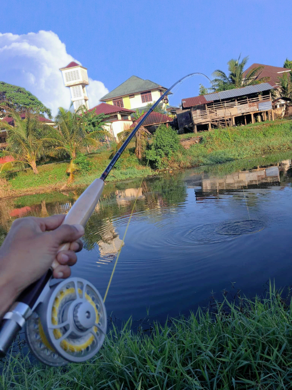 Heritage Series Fly Fishing Rod - 4 Pieces 9FT IM8 Carbon Blank Classic Forgiving Medium Fast Action Fly Rod with Burgundy Finish and Premier Portuguese Cork Handle (4/5/6/7/8wt)