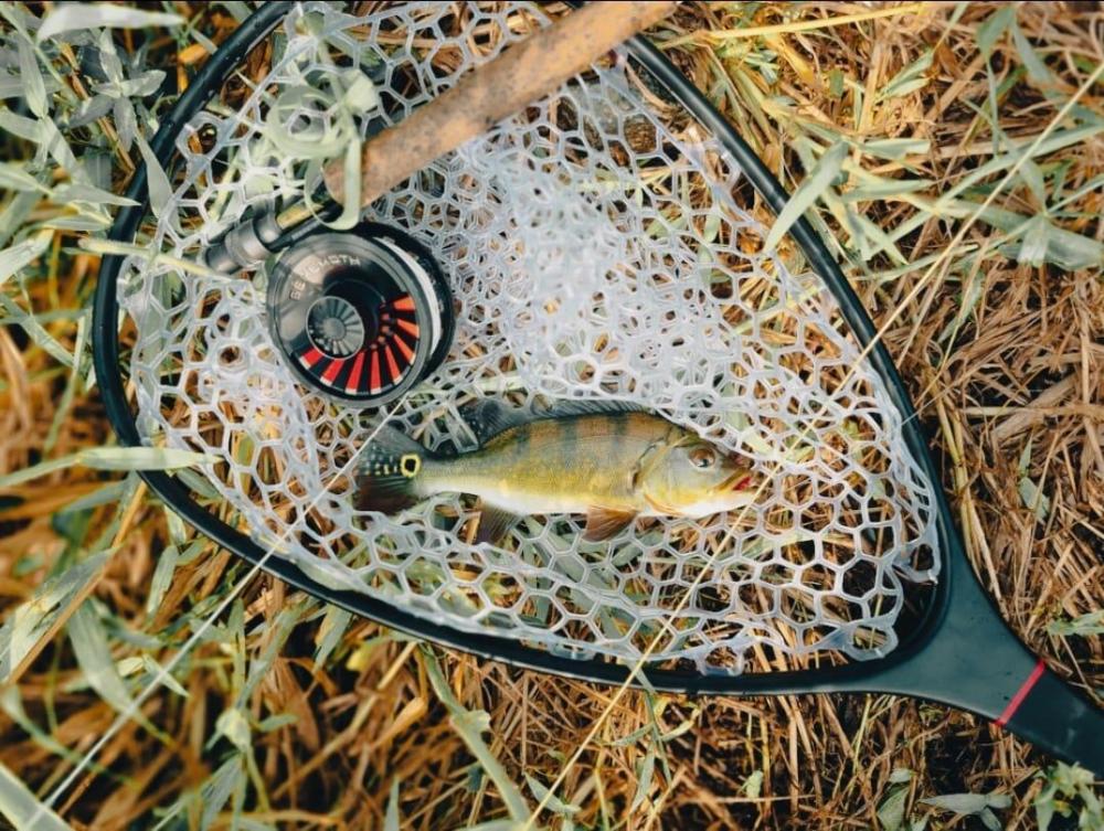 Aventik Floating Fishing Net Carbon Fiber Landing Net Clear Rubber Ghost Net Catch & Release Net with Magnetic Net Release