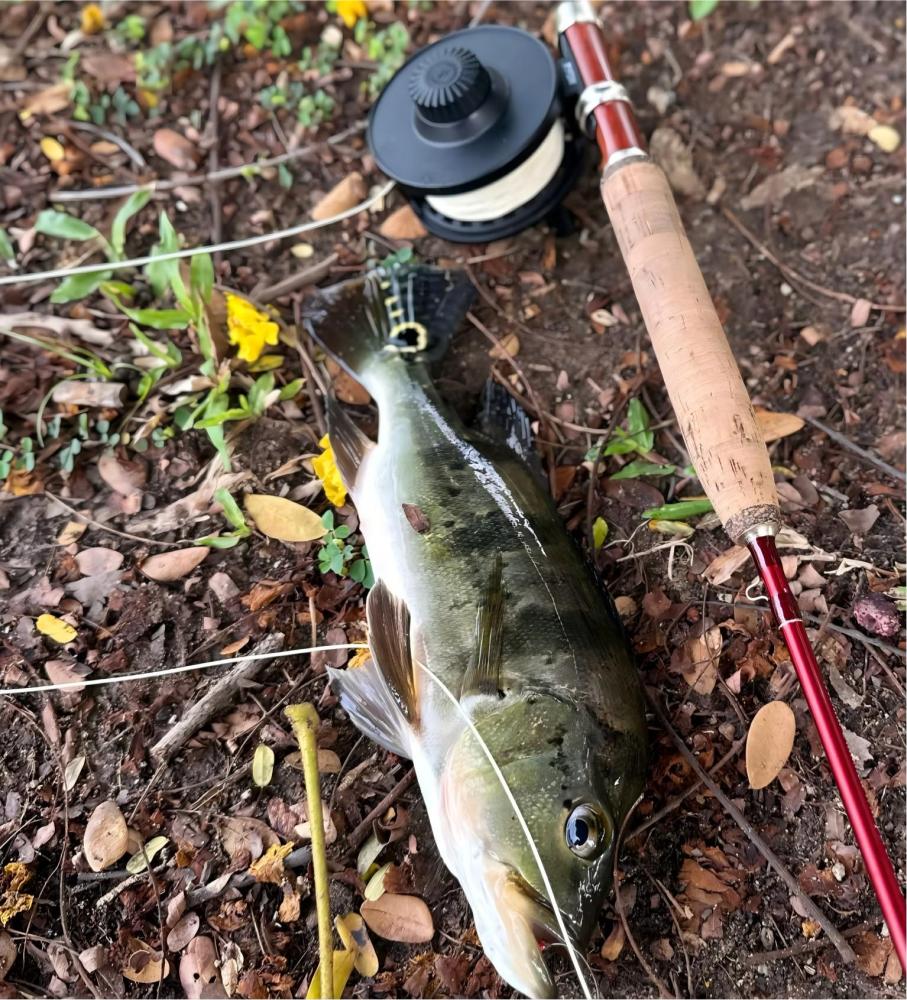 Aventik RYON Reinforced Nylon Large Arbor Fly Reel – Center Disc Drag, Lightweight Fly Fishing Reel, 1/2/3wt, 4/5/6wt, 7/8/9wt