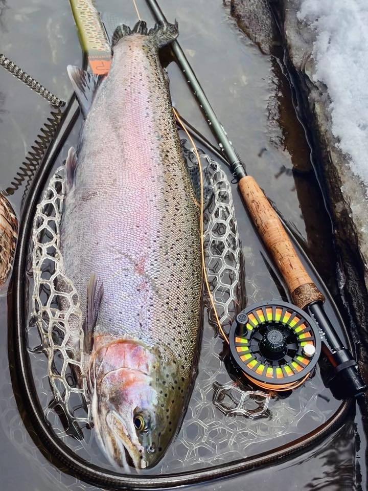 Aventik RYON Reinforced Nylon Large Arbor Fly Reel – Center Disc Drag, Lightweight Fly Fishing Reel, 1/2/3wt, 4/5/6wt, 7/8/9wt