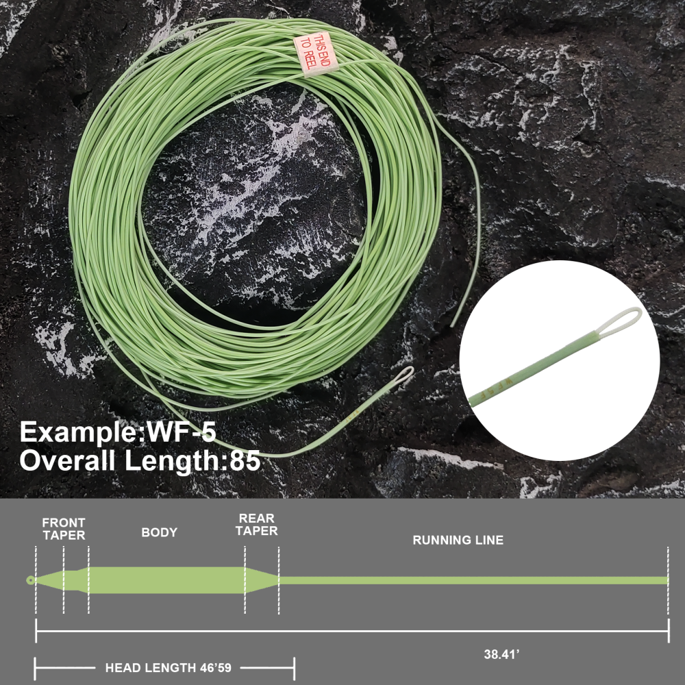 Aventik Fly Fishing Line Combo Kit, Weight Forward Floating Line with Two Welded Loops, Backing Line, Tapered Leader