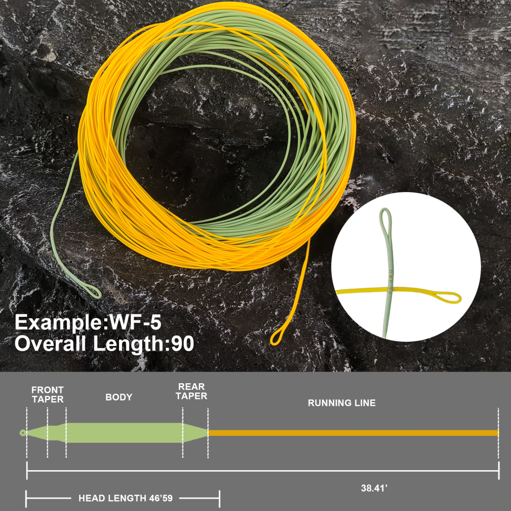 Aventik Fly Fishing Line Combo Kit, Weight Forward Floating Line with Two Welded Loops, Backing Line, Tapered Leader