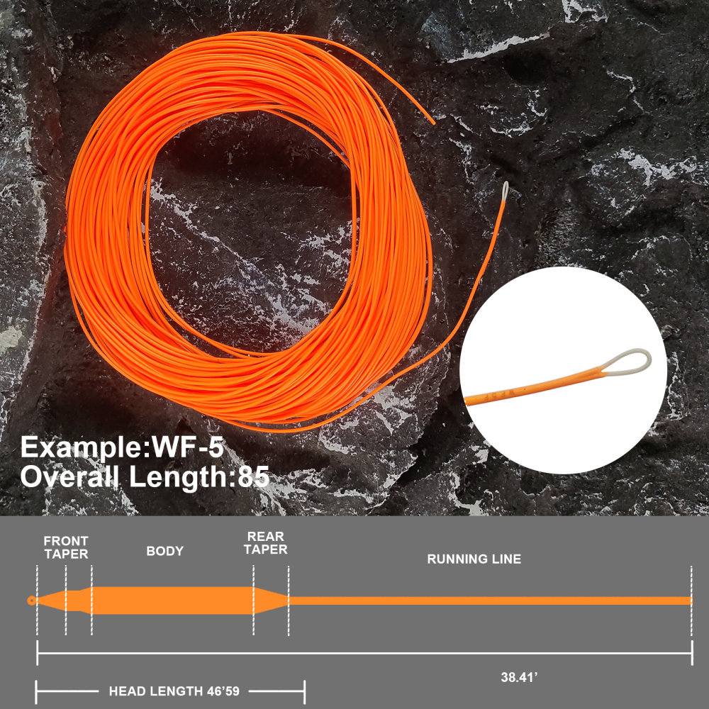 Aventik Fly Fishing Line Combo Kit, Weight Forward Floating Line with Two Welded Loops, Backing Line, Tapered Leader