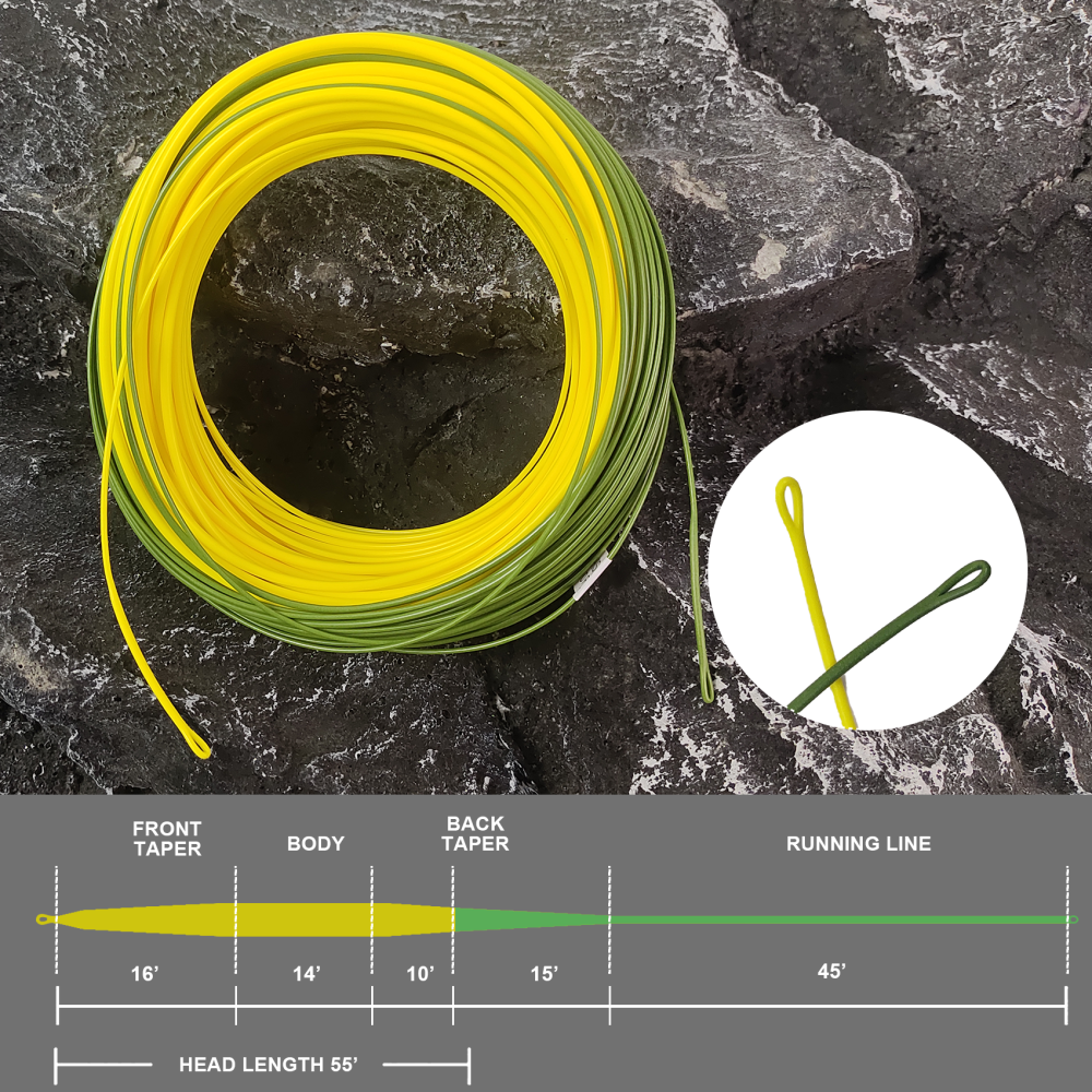 Aventik Fly Fishing Line Combo Kit, Switch Line with 55 ft head, Backing Line, Tapered Leader and Tippet