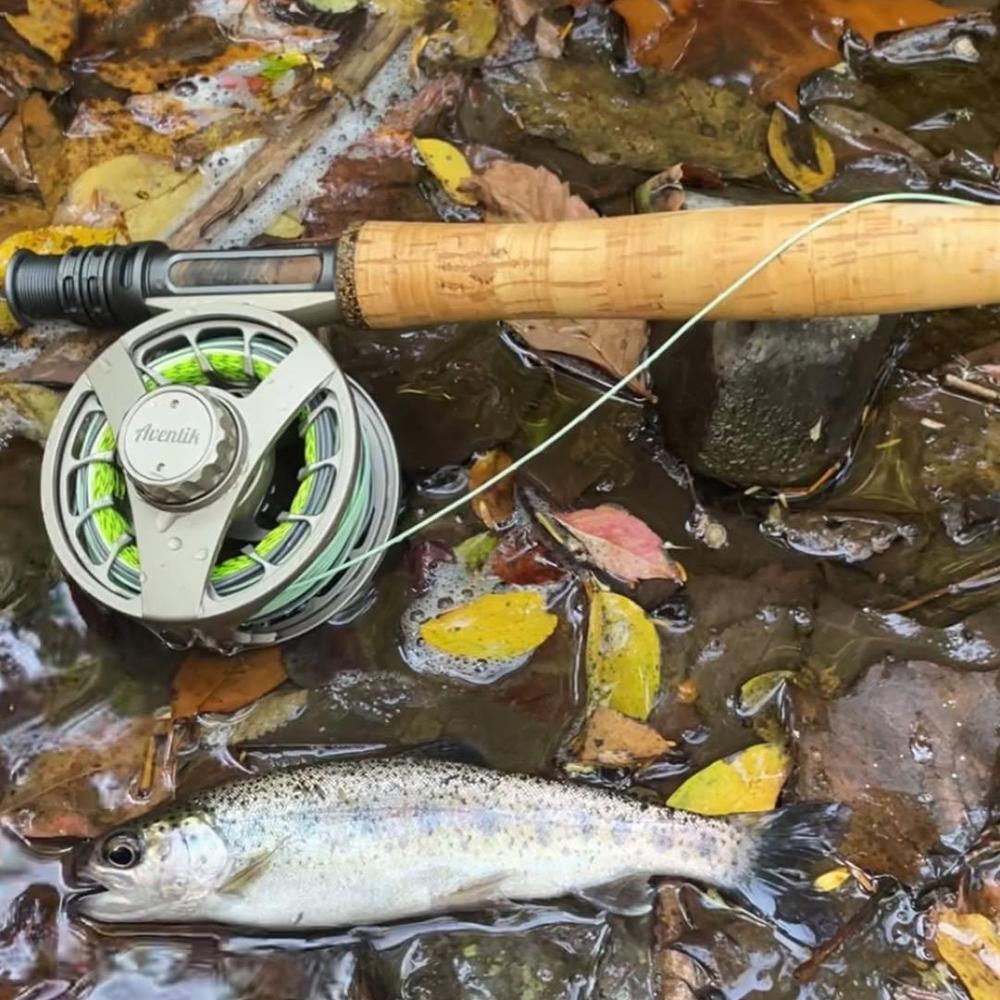 Aventik Wing Series Fly Reel, Multi Nano carbon discs saltwater proof large arbor fly fishing reel