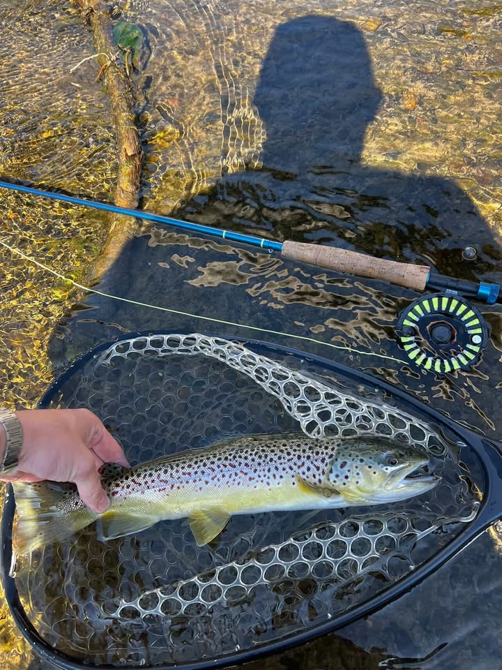 Aventik IM12 Nano Saltwater Fly Rod for Walleye Bass Carp Trout