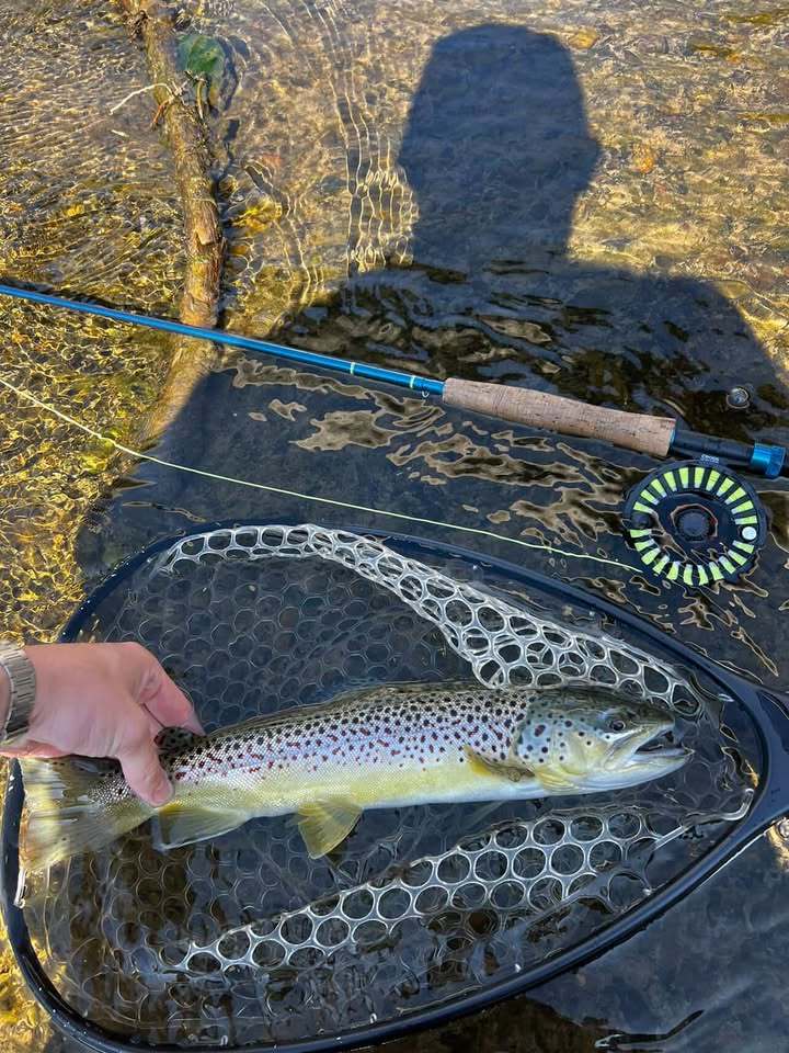 Aventik IM12 Nano Saltwater Fly Rod 9ft 4 Piece with Carrying Case for Saltwater Travel Fly Fishing Rod for Walleye Bass Carp Trout - Fast Action in 7/8/9/10/11/12 Weight