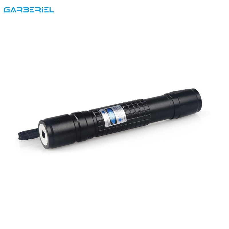 Blue Purple 405nm Laser Pointer Pen + Battery + Charger