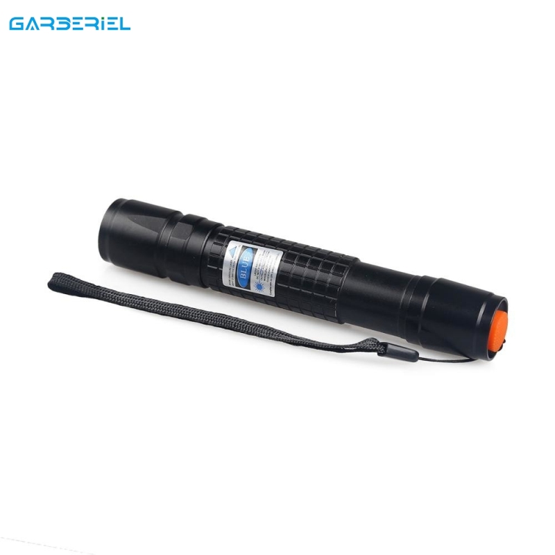 Blue Purple 405nm Laser Pointer Pen + Battery + Charger