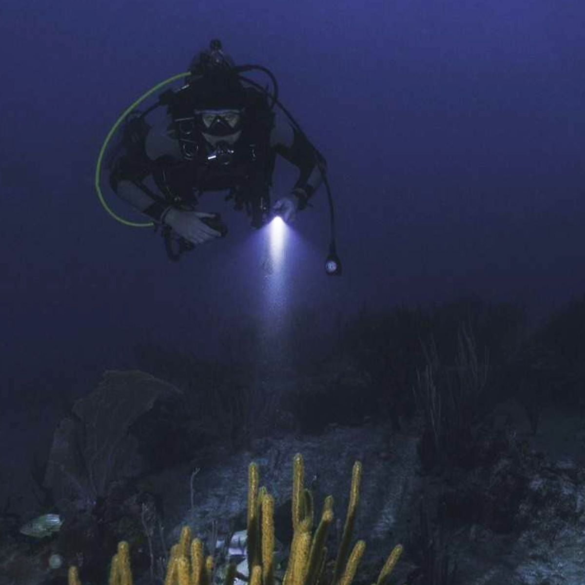 Hecloud Scuba Diving Flashlight Dive Torch 1000 Lumens Underwater 328ft