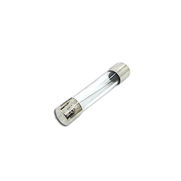 Glass fuse 20A 250V