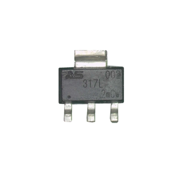317L