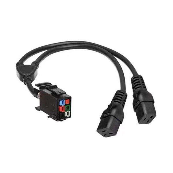 ElphaPex DG1 DG1+ Power Cord P33 to 2*C19