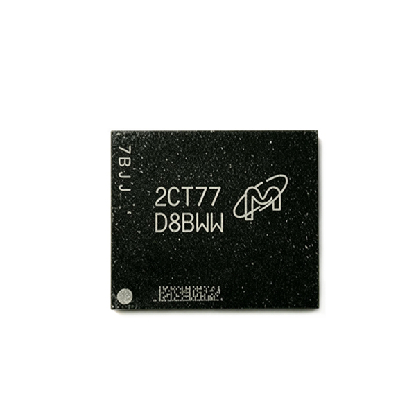 D8BWW DDR6