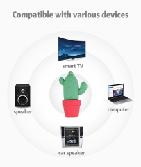 Cactus USB flash drive