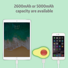 Avocado Power Bank