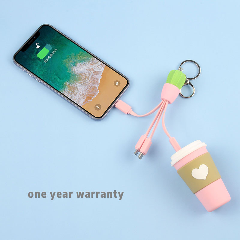 Cactus 3 In 1 Charging Cable