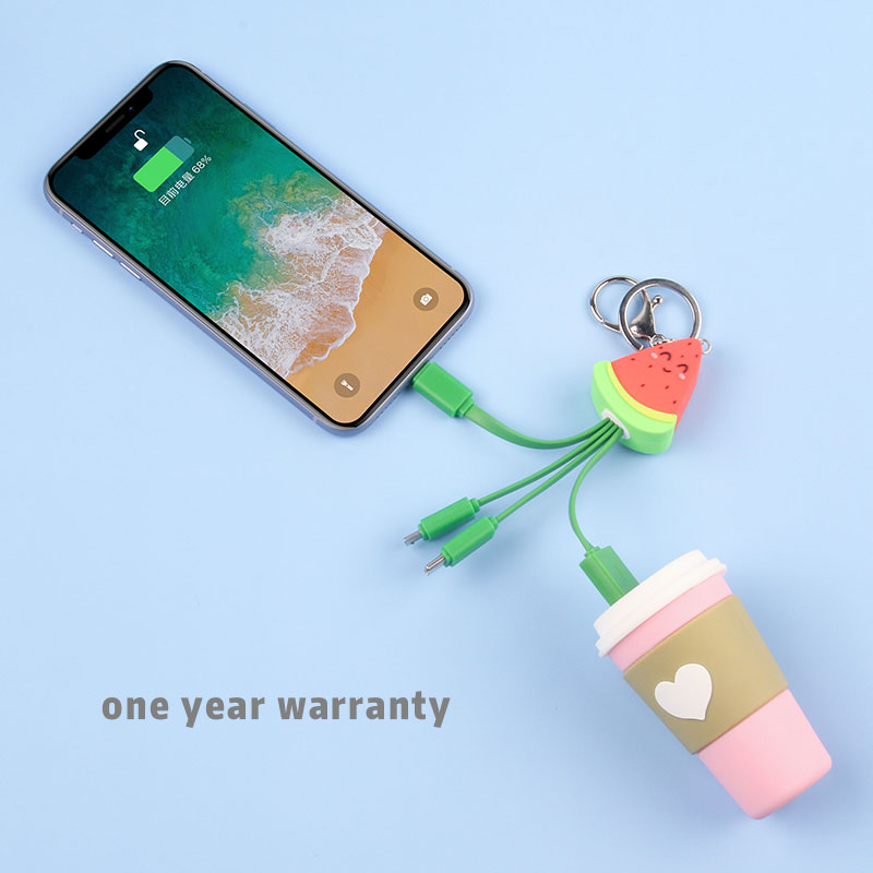 Cute Waterlemon 3 In 1 Charging Cable