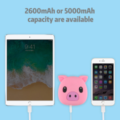 Pig USB Power Bank