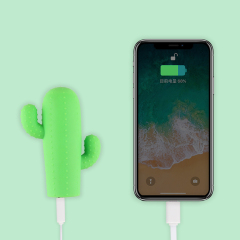 Cactus USB Power Bank