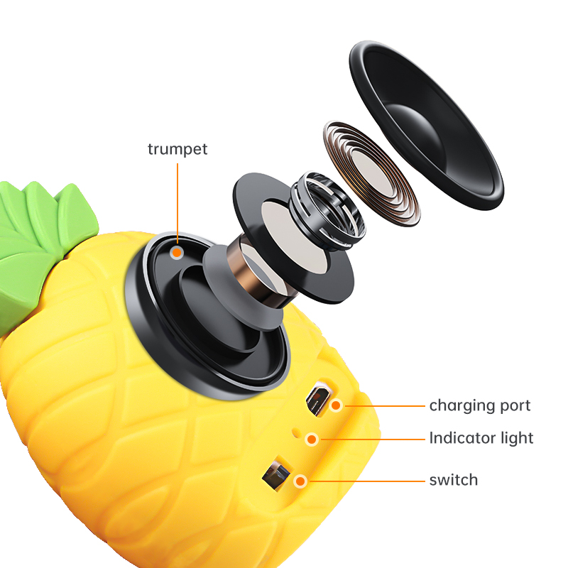 Pineapple Bluetooth Speaker
