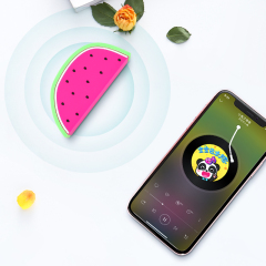 Watermelon Bluetooth Speaker