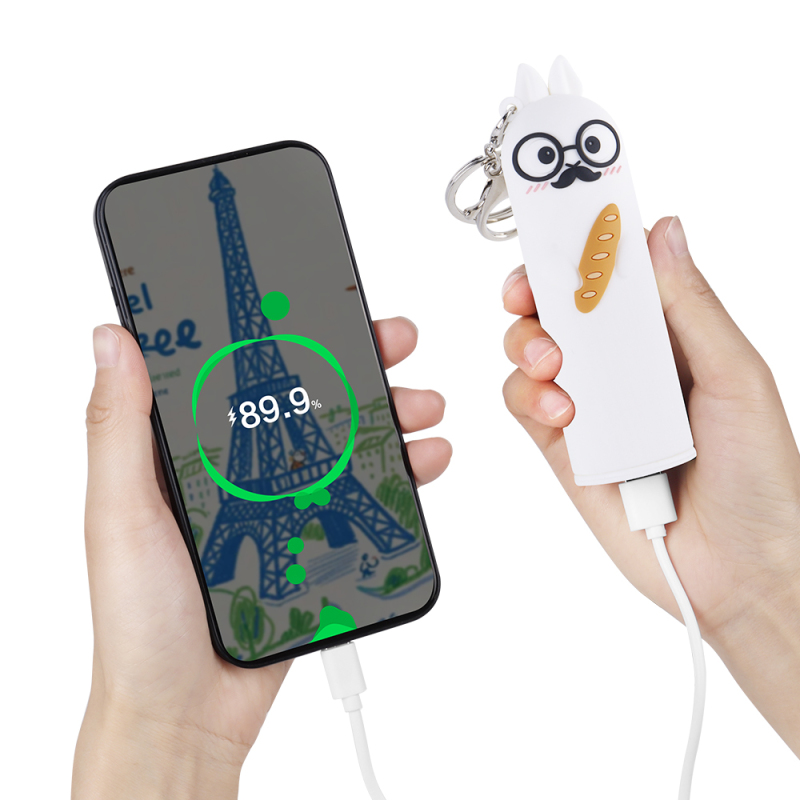 Cute Rabbit 5000mAh Power Bank Keychain Portable Charger Compact USB C Charging Rechargeable Battery Power Bank for Travel Gift