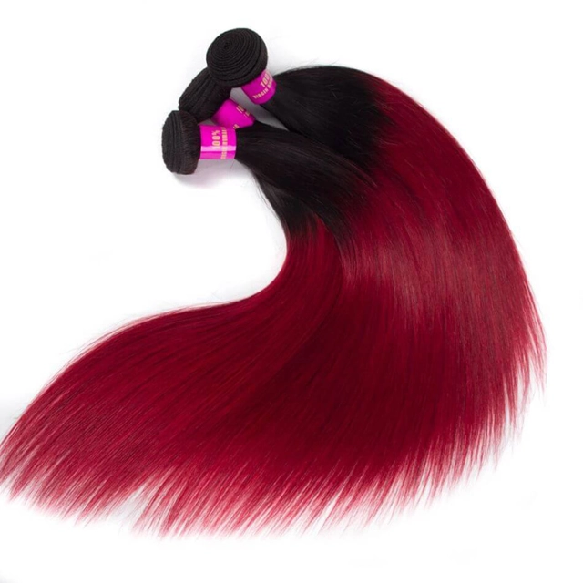 T1b/Burgundy Hair 3 Bundles with Closure Red Brazilian Straight Virgin Human Hair