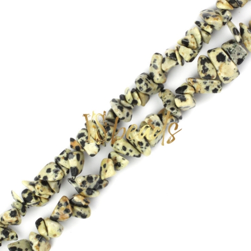 Dalmation Jasper Chips, Approx 5x8mm