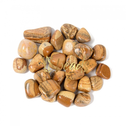 Picture Jasper Tumbled Stones, Various size